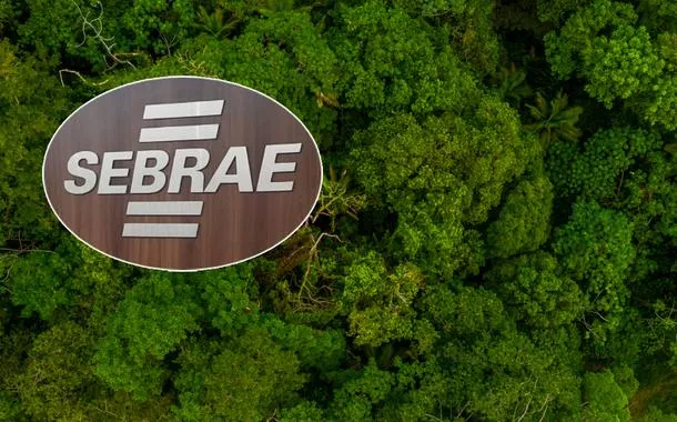 Sebrae lança carbono social para remunerar comunidades amazônicas