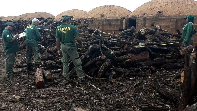 Fiscalização do Ibama durante a Operação Rastro Negro identifica depósito ilegal de carvão vegetal usado por siderúrgicas no Centro-Oeste e Sudeste do país
