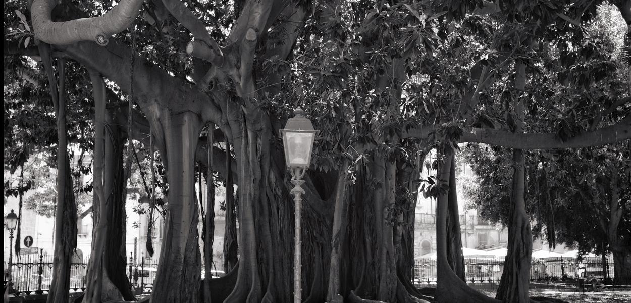 Envelhecimento no Brasil: O Tema do ENEM que Chocou o País e Revelou Verdades Chocantes!
