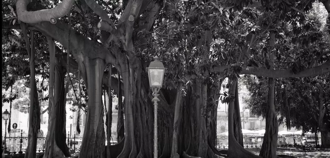 Envelhecimento: o grande desafio do Brasil no século 21