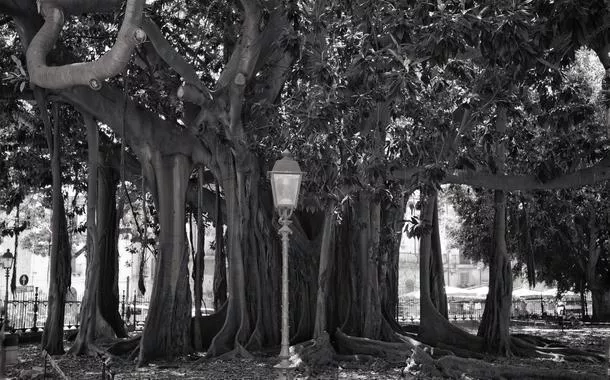 Envelhecimento: o grande desafio do Brasil no século 21