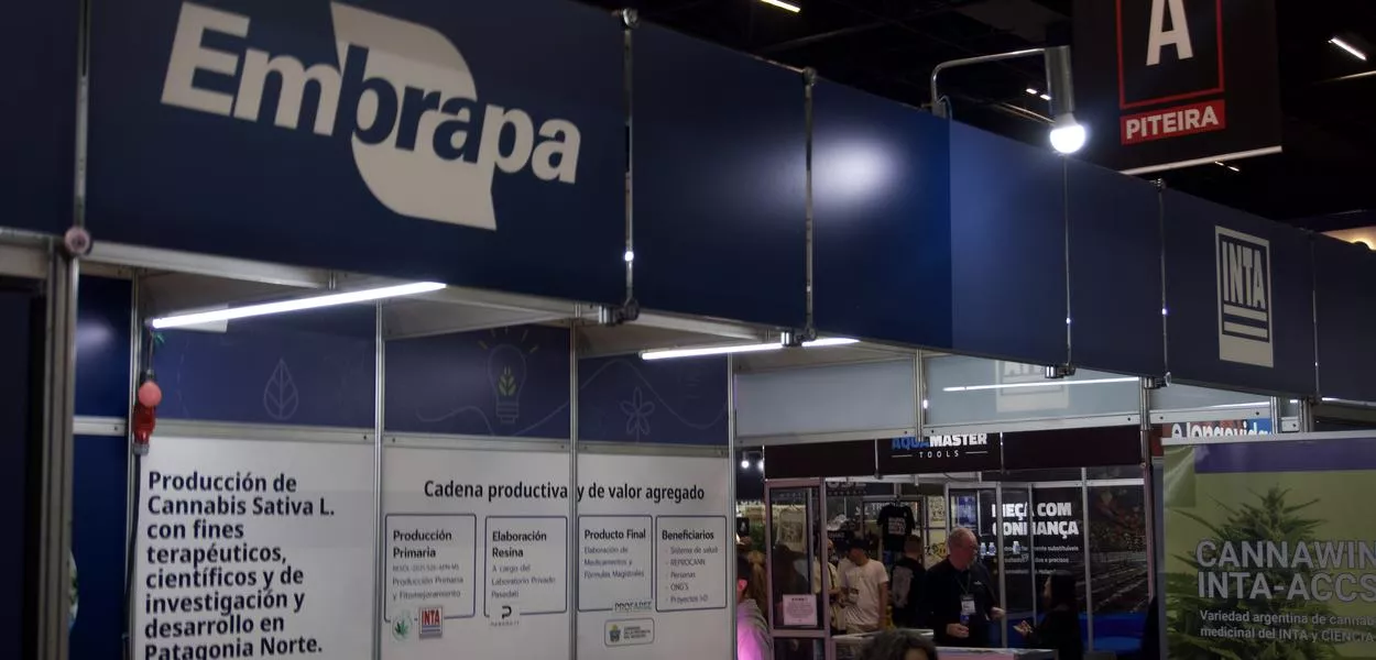 Embrapa busca ampliar atuação científica no novo marco regulatório da cannabis