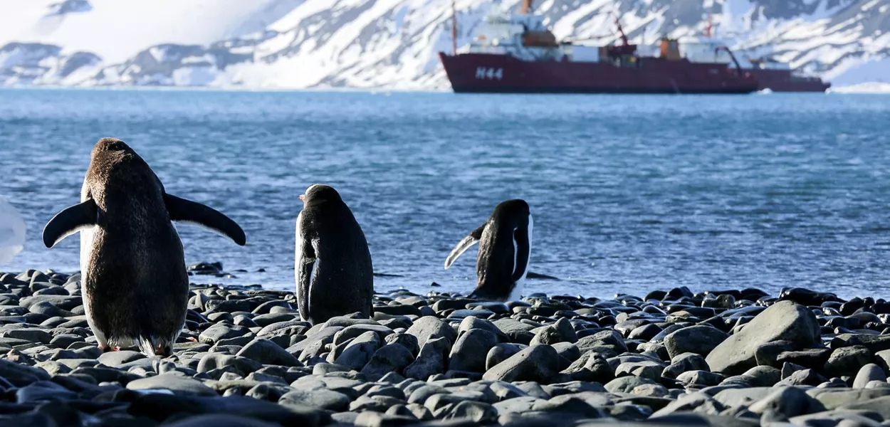 Queimadas amazônicas contribuem para o degelo polar