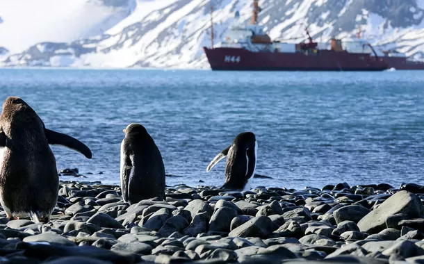 Queimadas amazônicas contribuem para o degelo polar