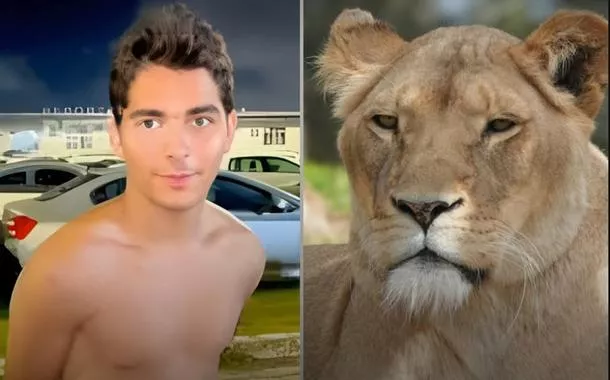 Leoa Leona, que matou jovem ao ter recinto invadido, não será sacrificada: "jamais foi cogitado"