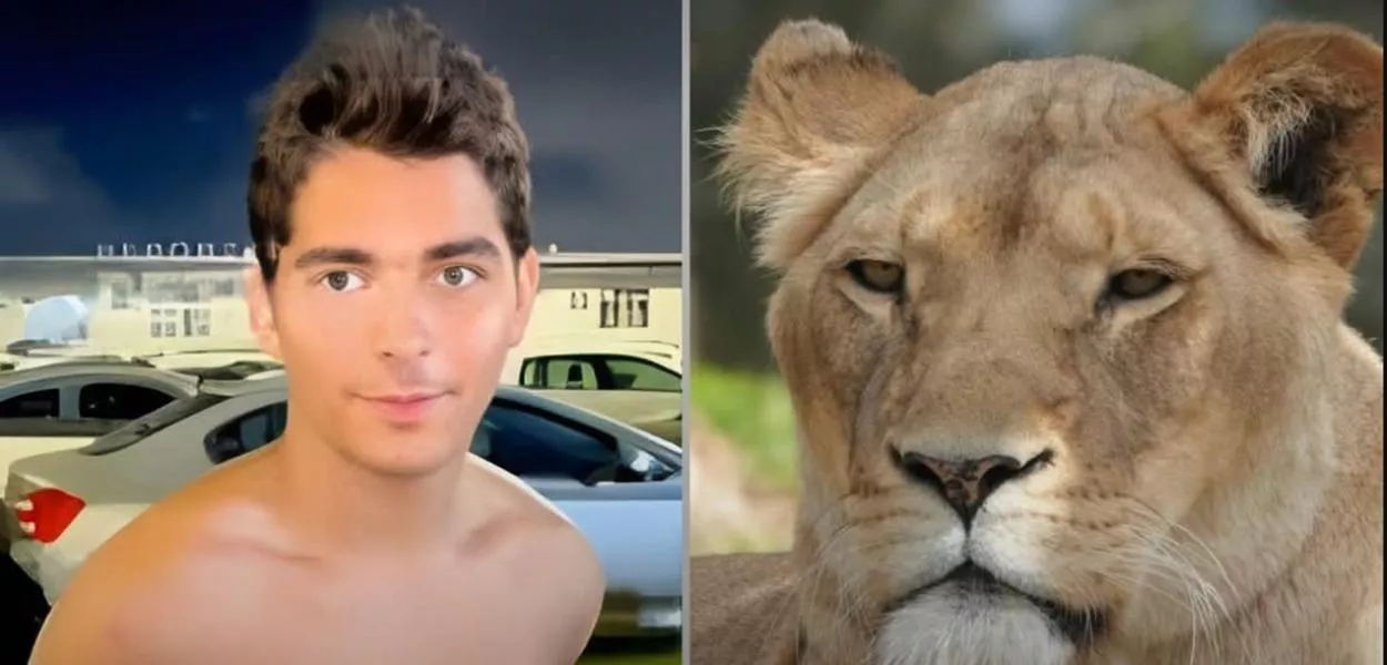 Prefeitura de João Pessoa afirma que homem escalou estruturas de segurança para entrar no recinto da leoa.