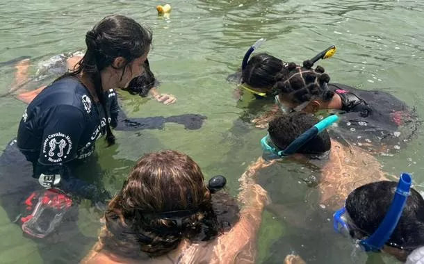 Observação de cavalos-marinhos