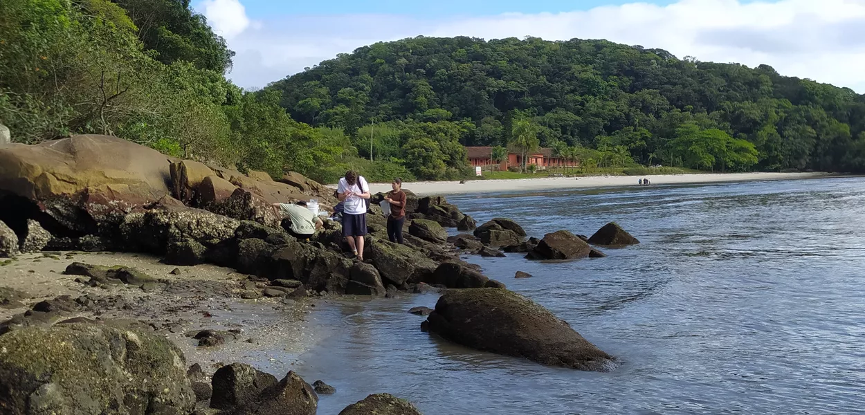 Projeto "Marés de Mudança"