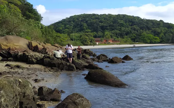Projeto paranaense fortalece a conservação costeira e o enfrentamento das mudanças climáticas no litoral