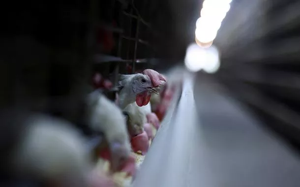 Granja no Rio Grande do Sul