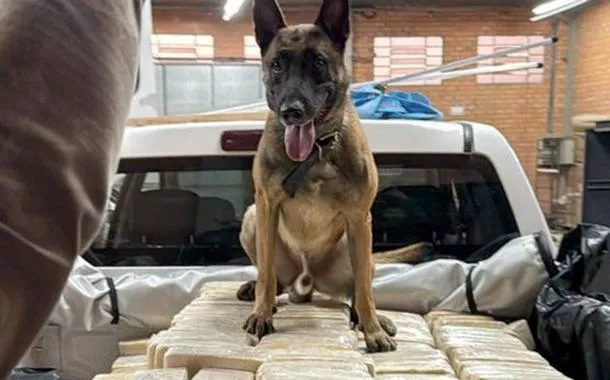 PF apreende mais de 600kg de cocaína em Blumenau