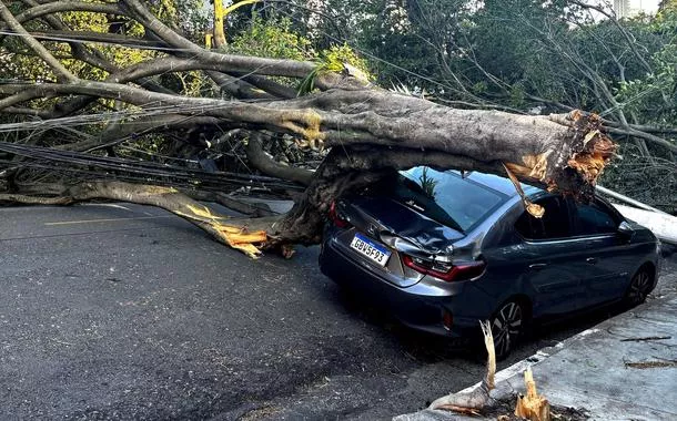 Restabelecimento de energia pela Enel SP por ciclone é mais lento do que 2023 e 2024