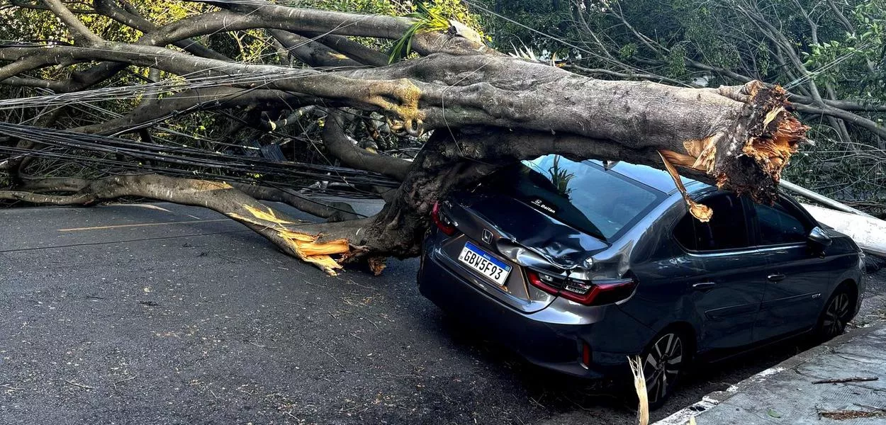 Uma árvore sobre um carro danificado após fortes chuvas, em São Paulo, Brasil, 10 de dezembro de 2025