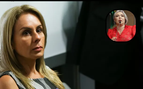 Viviane Barci de Moraes e Liana Cirne Lins