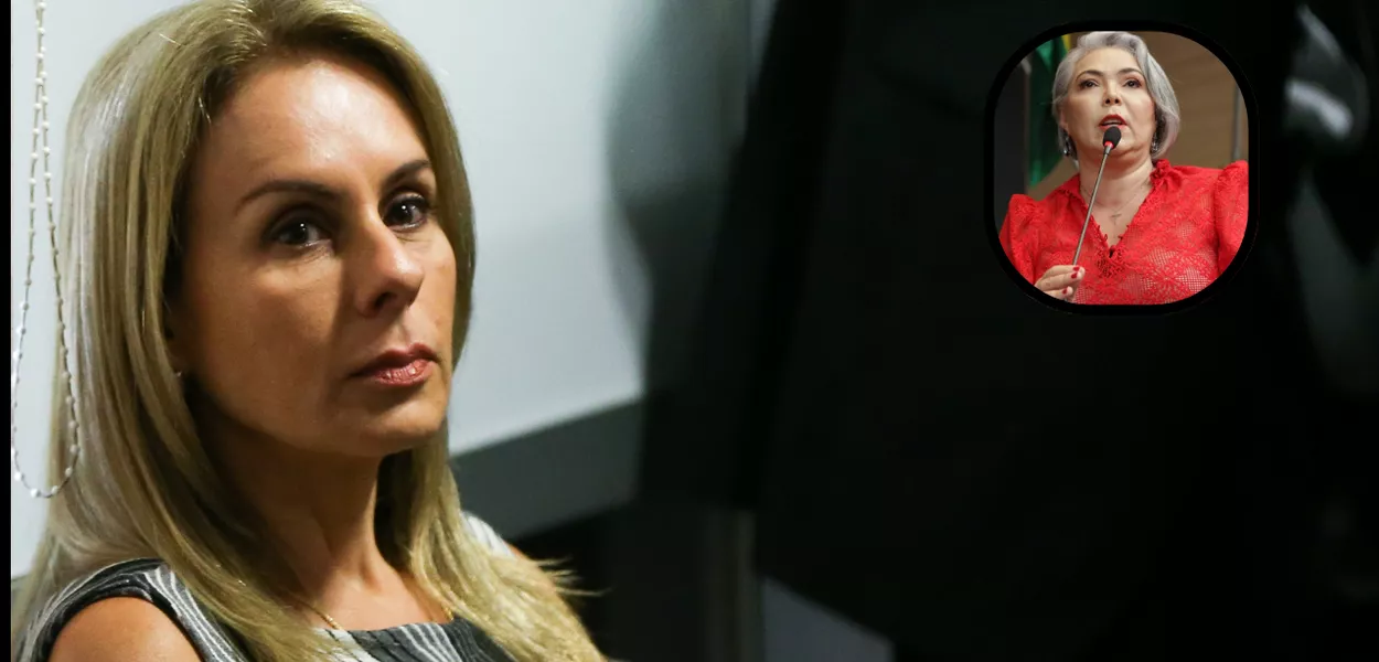 Viviane Barci de Moraes e Liana Cirne Lins