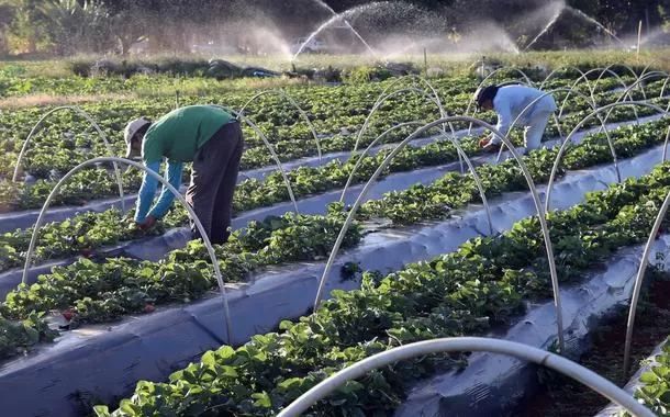 Governo amplia oportunidades no campo, na saúde e na educação