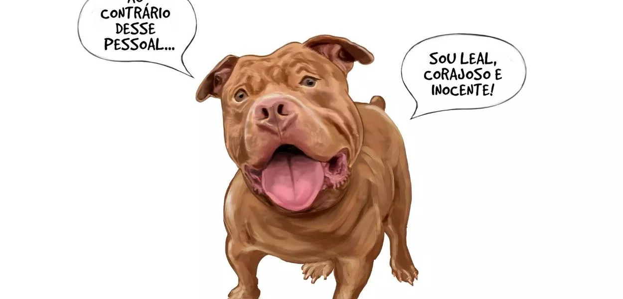 Dou razão - 28 de dezembro de 2025