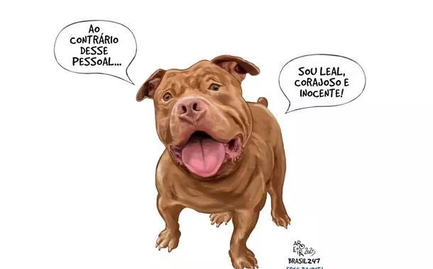 Dou razão - 28 de dezembro de 2025