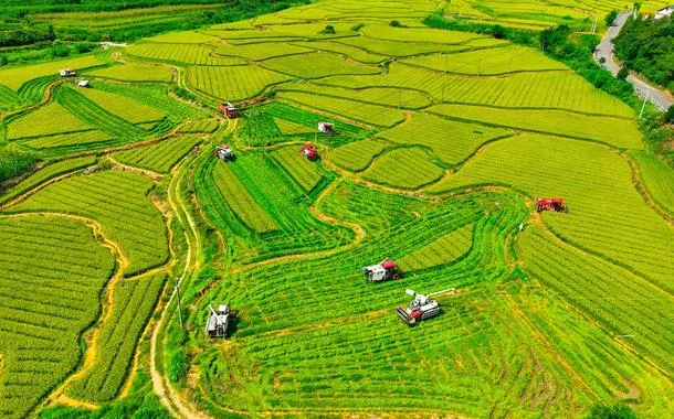 Xi Jinping dá instruções na Conferência Central de Trabalho Rural