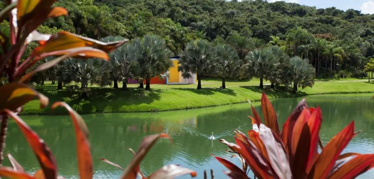 Instituto Inhotim
