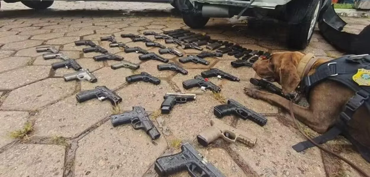 Apreensão de armas de fogo