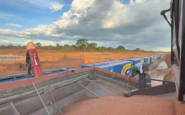 Transnordestina inicia testes e define modelo comercial até 2028