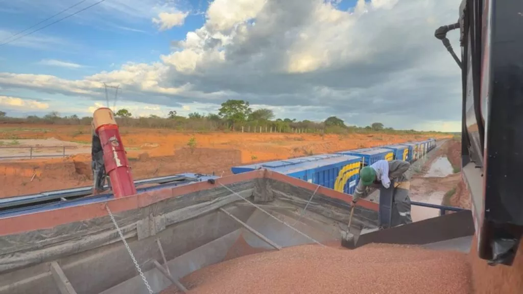 Transnordestina inicia testes e define modelo comercial até 2028