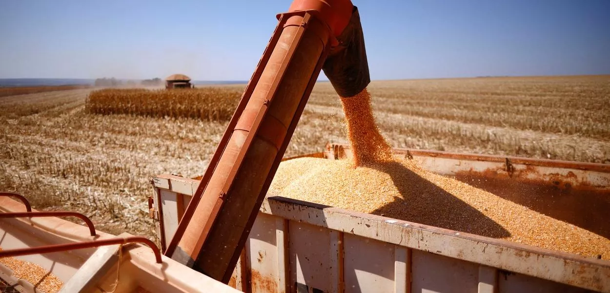 Grãos de milho são carregados em caminhão durante colheita em fazenda perto de Brasília
22/08/2023 REUTERS/Adriano Machado