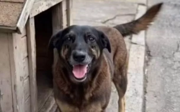 Caso Orelha expõe falhas na formação emocional de jovens