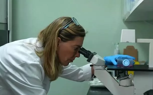 “Sem investimento público não existiria ciência no Brasil”