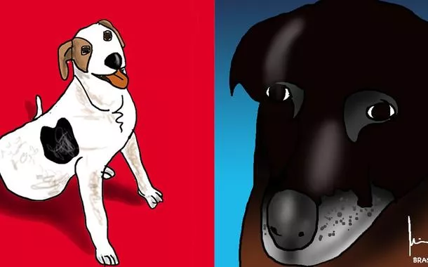 Orelha e os maus tratos a animais