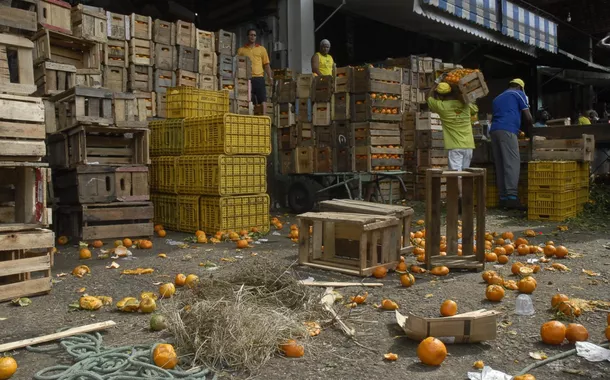Desperdício de alimentos 
