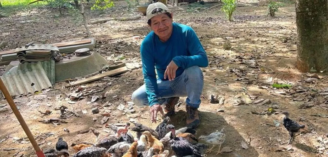 Criação de galinhas em Terra Yanomami