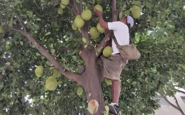 Vila Buarque, São Paulo