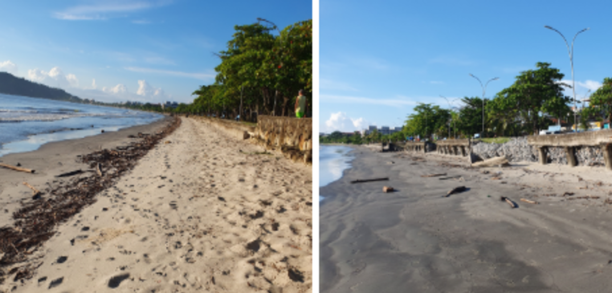 Fotos de 25/02/2026 com o cordão de galhos depositados na faixa de areia da Praia do Itaguá em Ubatuba (SP), após as fortes chuvas do mês de fevereiro de 2026, e muro de gabião exposto pela atividade do avanço e do recuo das águas do mar (Foto: Heraldo Campos)