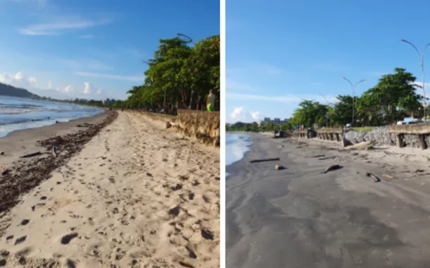 Fotos de 25/02/2026 com o cordão de galhos depositados na faixa de areia da Praia do Itaguá em Ubatuba (SP), após as fortes chuvas do mês de fevereiro de 2026, e muro de gabião exposto pela atividade do avanço e do recuo das águas do mar