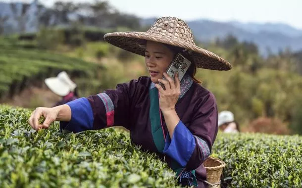 Trabalhadora em colheita de chá na China