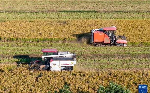 Publicado livro que documenta vitória contra a pobreza sob liderança de Xi Jinping