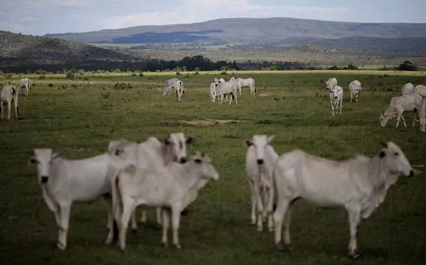 Criação de gado em Alto Paraíso (GO) 
16/03/2018
