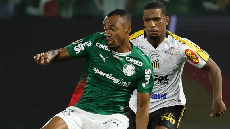 Novorizontino e Palmeiras decidem o título do Campeonato Paulista em final neste domingo; confira onde assistir