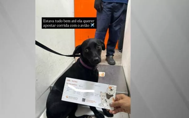 Kim fugiu da caixa de transporte durante transferência para voo com destino ao Rio de Janeiro; não houve cancelamentos de voos