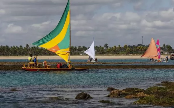Turismo regenerativo permite que visitantes recuperem corais em Pernambuco