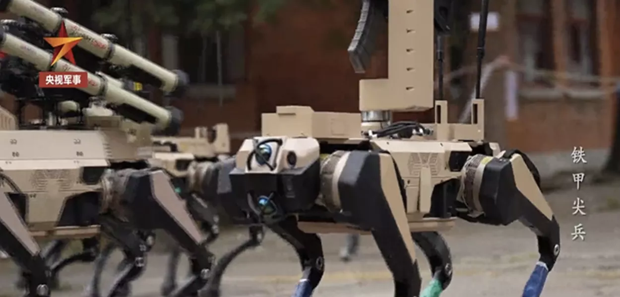 Lobo robótico chinês