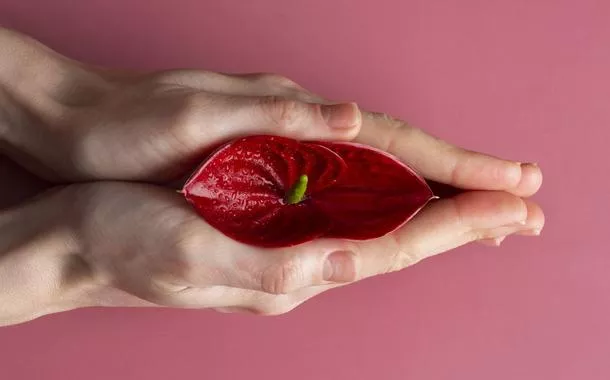 Cientistas mapeiam nervos do clitóris em estudo inédito