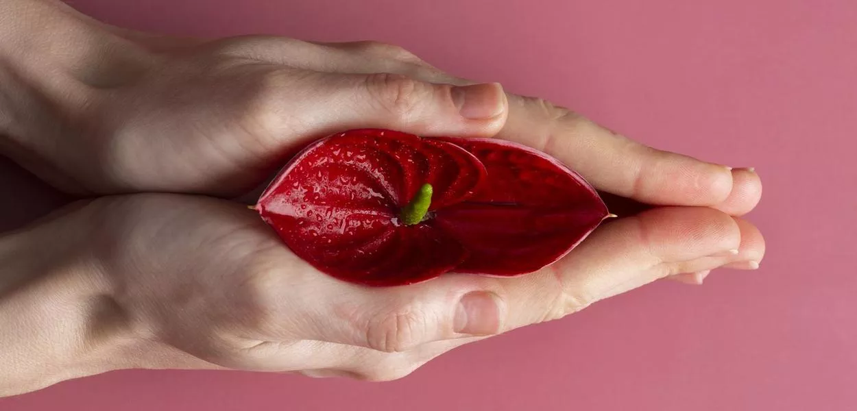 Cientistas mapeiam nervos do clitóris em estudo inédito