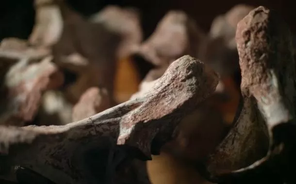 Documentário 'Dinos do Brasil', episódio 'Fósseis Urbanos'