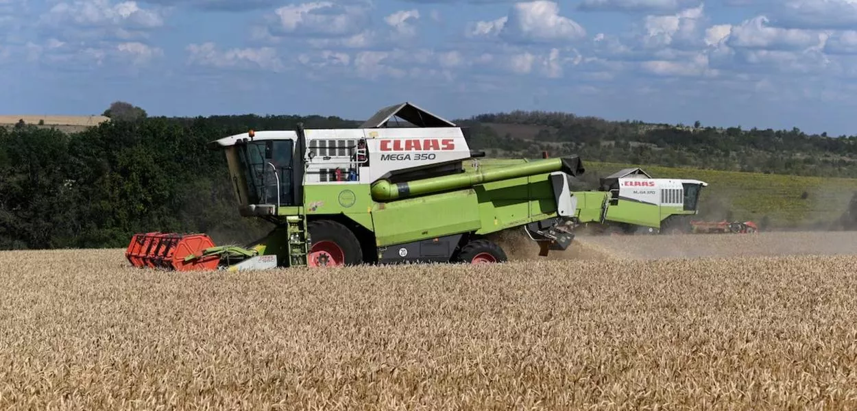 Campo no distrito de Chertkovsky, na região de Rostov, Rússia, em 25 de julho de 2025