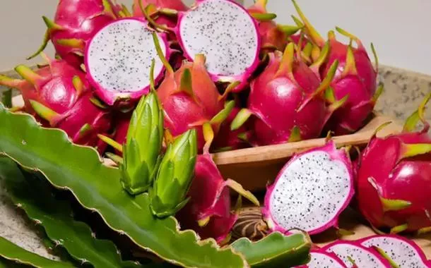 Feira Brasil na Mesa valoriza produtores e abre mercados em Brasília