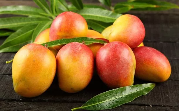 Da Índia ao Brasil: a incrível viagem da manga que conquistou o País