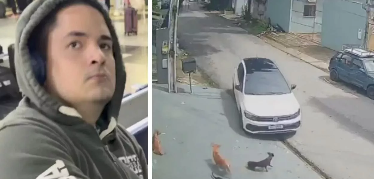 Homem que atropelou animais no Amazonas